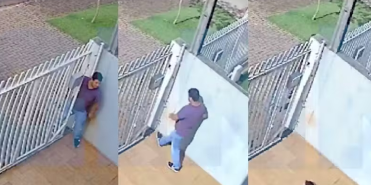 Cãozinho valente espanta ladrão e evita assalto em Cascavel