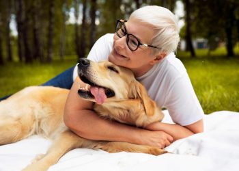 Cães podem ajudar a prevenir demência em idosos