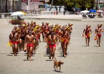 Caramelo, o cachorro bombeiro