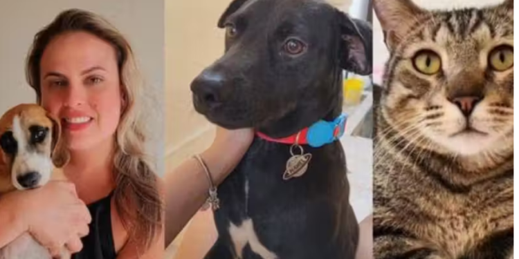 Enfermeira salvar vidas humanas e animais