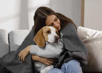 Sintomas que exigem cuidados intensivos com seu animal de estimação