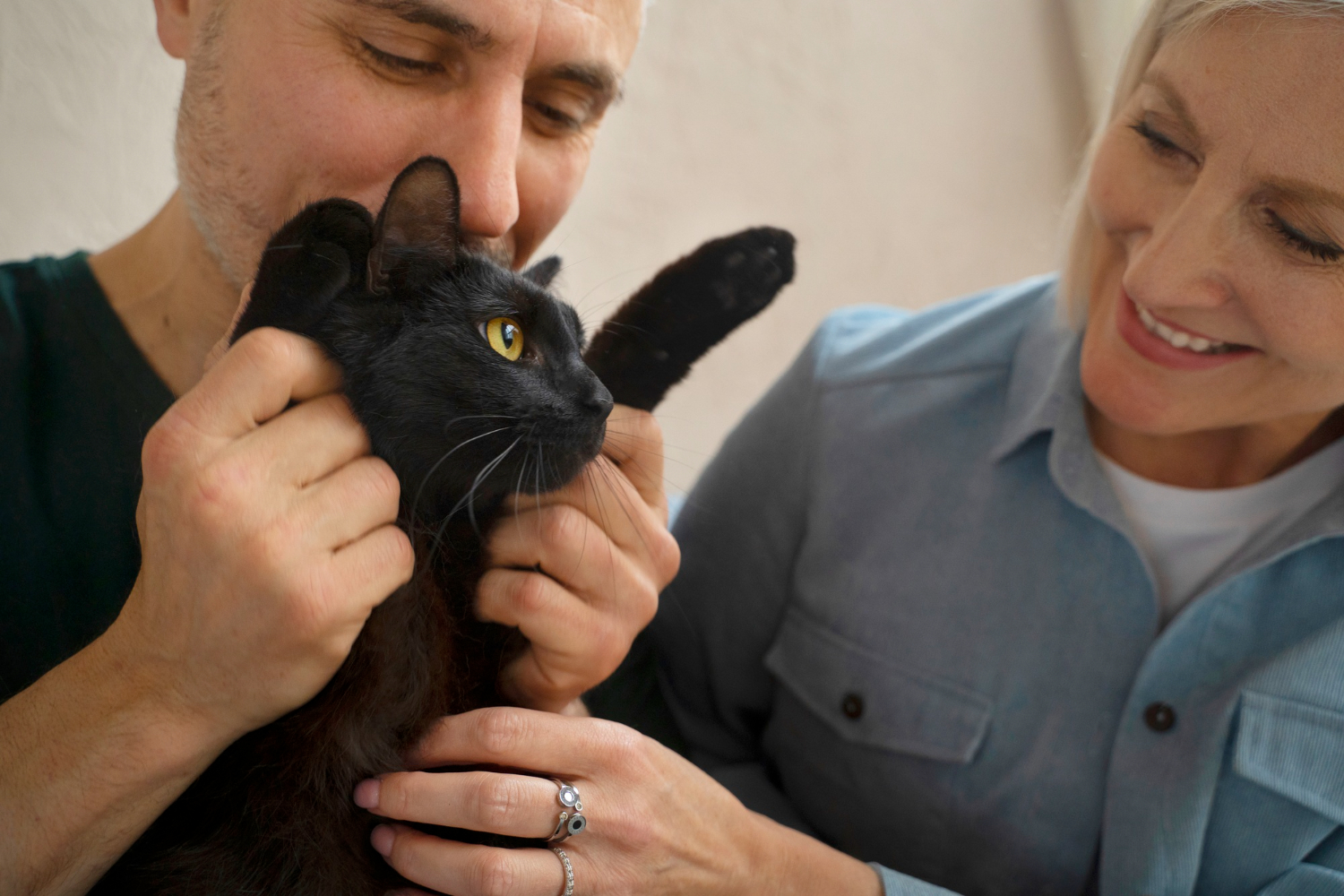 Benefícios psicológicos de ter um gato: uma relação profunda e transformadora