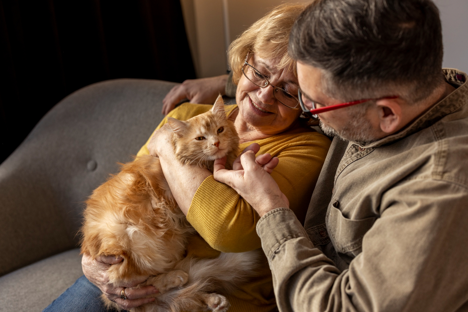 Benefícios psicológicos de ter um gato: uma relação profunda e transformadora