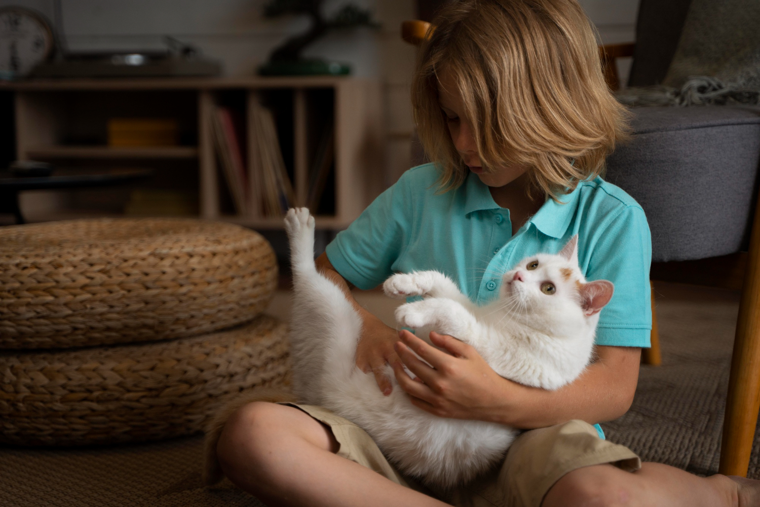 Benefícios psicológicos de ter um gato: uma relação profunda e transformadora