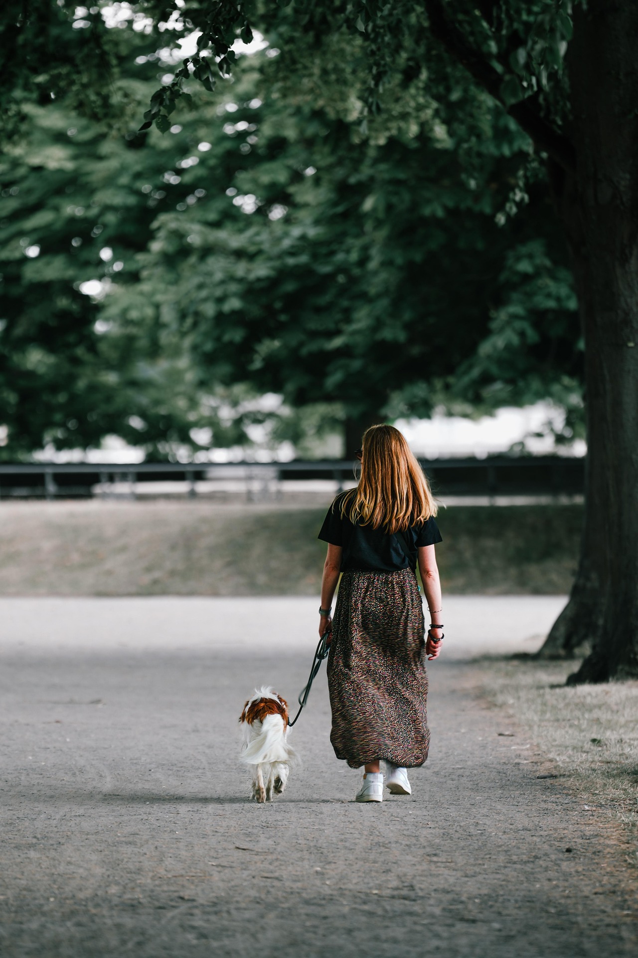Como os cães percebem as emoções dos humanos 