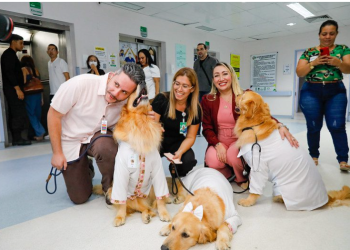 Cães terapeutas levam alegria e contribuem para a recuperação de pacientes no Complexo Hospitalar Sul
