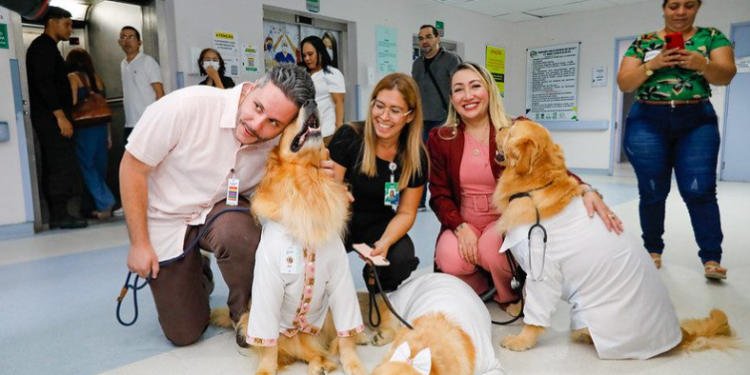Cães terapeutas levam alegria e contribuem para a recuperação de pacientes no Complexo Hospitalar Sul