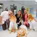 Cães terapeutas levam alegria e contribuem para a recuperação de pacientes no Complexo Hospitalar Sul