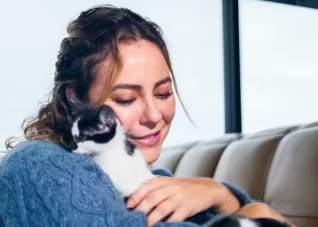 Paolla Oliveira adotou 11 gatos e 7 cachorros e pede que seguidores adotem também; “quem ganhou fui eu”