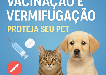 Vacinação e vermifugação em cães e gatos