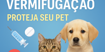 Vacinação e vermifugação em cães e gatos