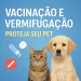 Vacinação e vermifugação em cães e gatos