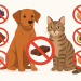 alimentos proibidos para cães e gatos