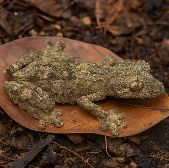 animais que se camuflam