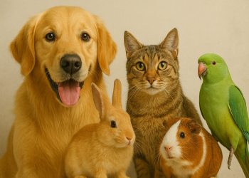 Dia mundial dos animais