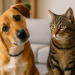 comportamento estranhos dos pets e seus significados