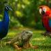 cuidados com pavões iguanas e artaras como pets exóticos